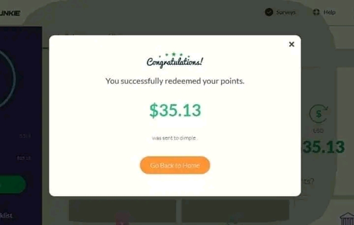 Student Income Proof